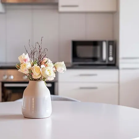 Modern 3bdr Duplex With Skyroof In Trendy West Appartement Zurich