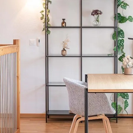 Modern 3bdr Duplex With Skyroof In Trendy West Appartement Zurich