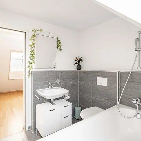 Modern 3bdr Duplex With Skyroof In Trendy West * Zürich