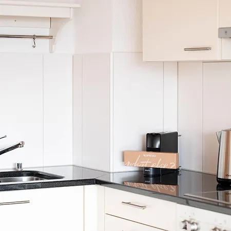 Modern 3bdr Duplex With Skyroof In Trendy West Zúrich
