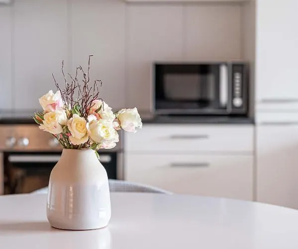 Modern 3bdr Duplex With Skyroof In Trendy West Appartement Zurich