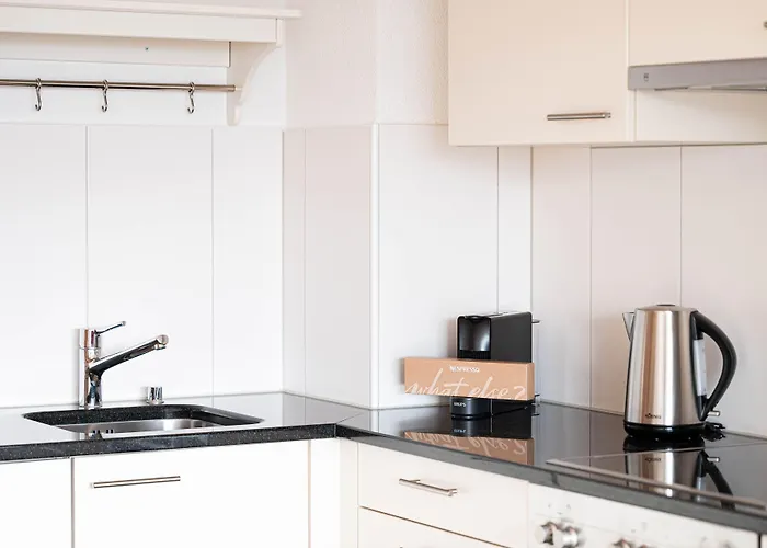 Modern 3bdr Duplex With Skyroof In Trendy West 苏黎世