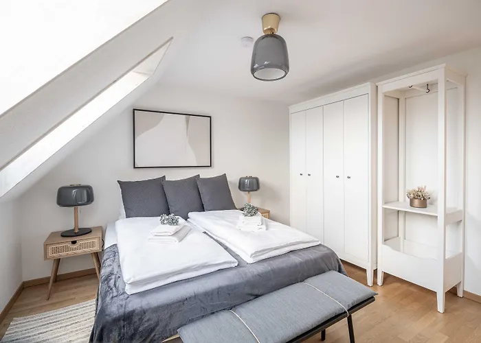 Appartement Modern 3bdr Duplex With Skyroof In Trendy West Zurich