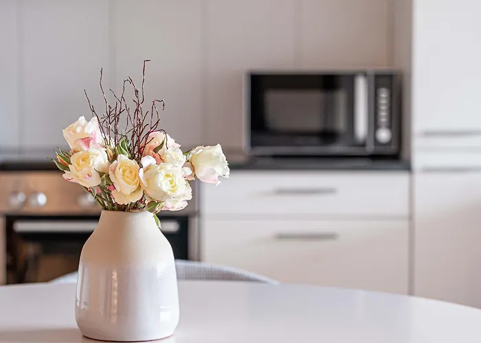 Appartement Modern 3bdr Duplex With Skyroof In Trendy West Zurich