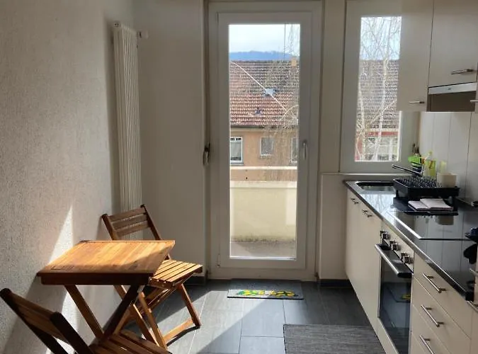 Modern 3bdr Duplex With Skyroof In Trendy West * Zürich