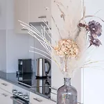 Modern 3bdr Duplex With Skyroof In Trendy West